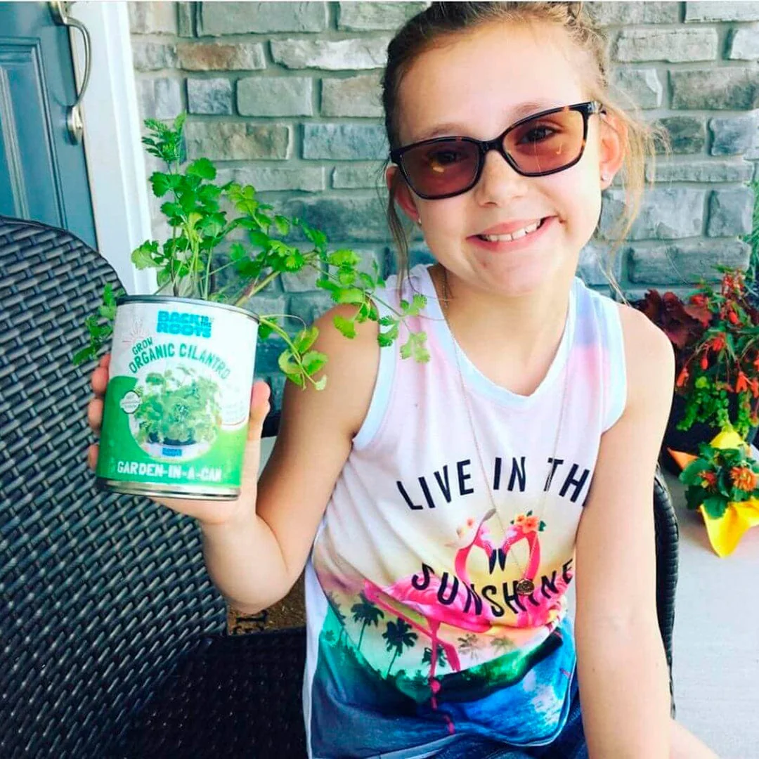 6 Pack of Pre-Grown Cilantro, Dill, Oregano Live Seedlings - Image 6