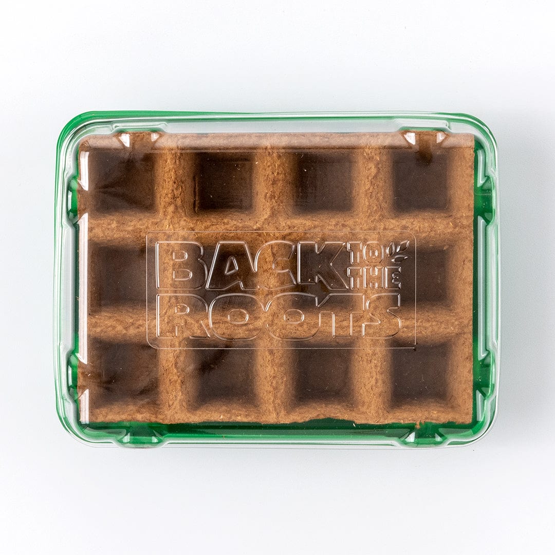 Greenhouse Germination Kit (Organic & Plantable, 12-Cell Tray) - Image 11