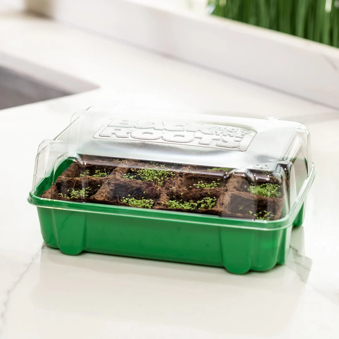 Greenhouse Germination Kit (Organic & Plantable, 12-Cell Tray) - Image 5