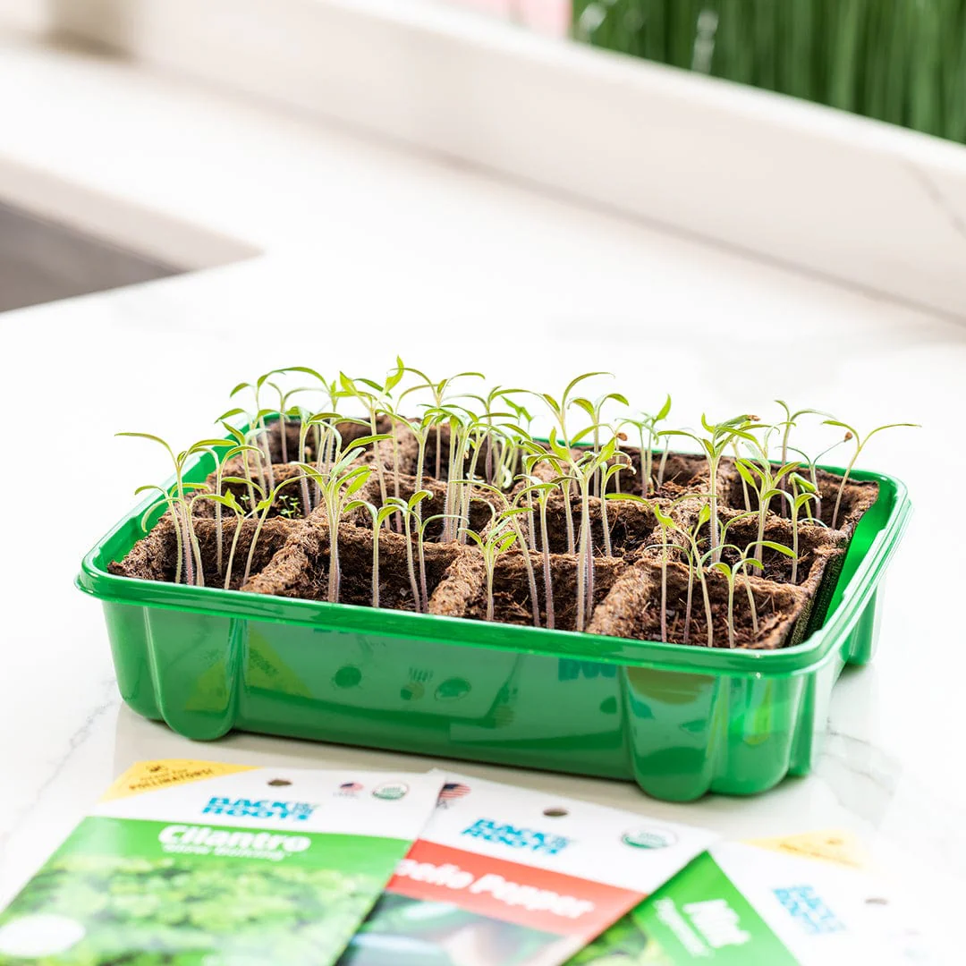 Greenhouse Germination Kit (Organic & Plantable, 12-Cell Tray) - Image 8