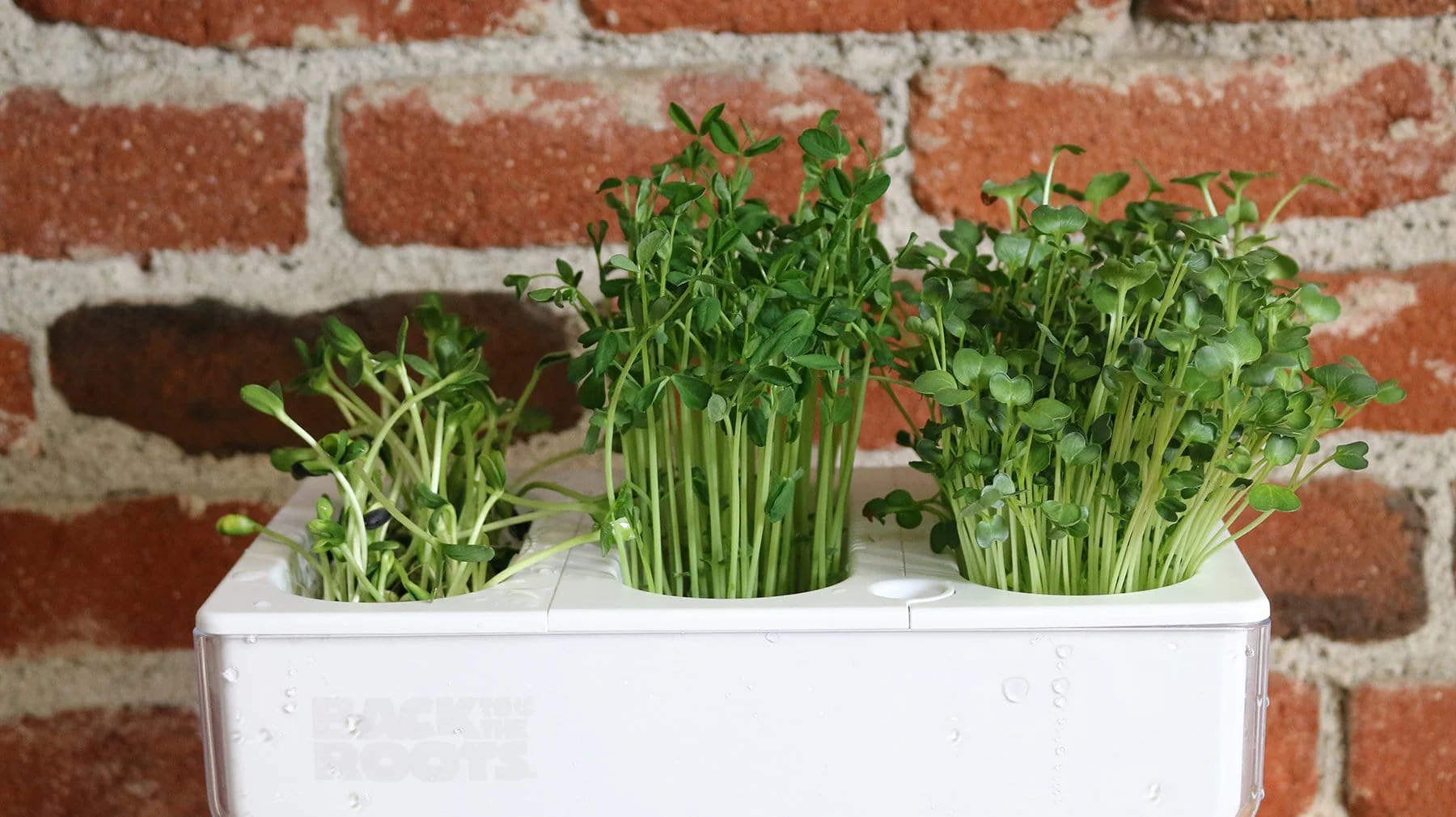 Grow Medium Refill Kit - Image 3