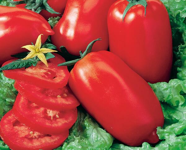 Organic Heirloom Tomato 5-Pack Seed Bundle - Image 8