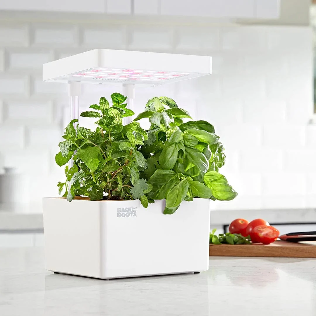 Hydroponic Grow Kit Refill Pack - Image 4