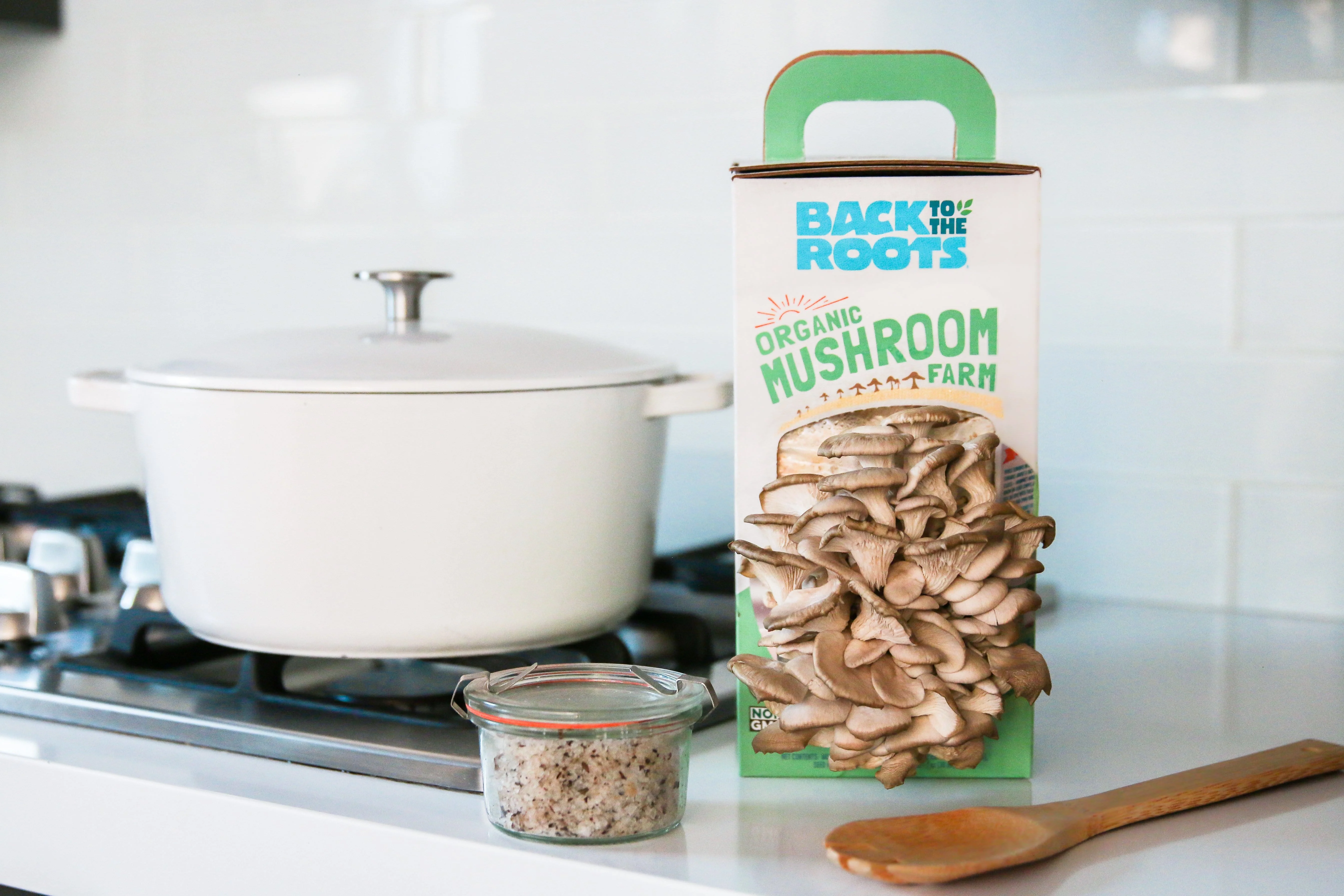 Summer Gardening Collection: 12 Kit Bundle (Herbs, Veggies, Mushrooms,  & Microgreens) - Image 3