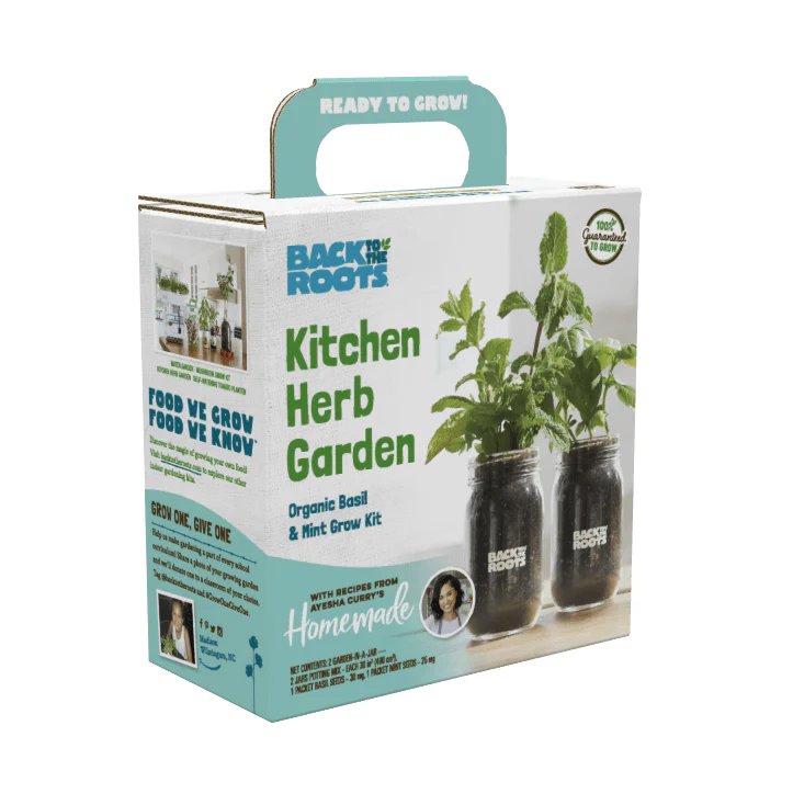 Kitchen Mason Jar Herb Garden by Ayesha Curry - Organic Basil & Mint 🌿 - Image 8