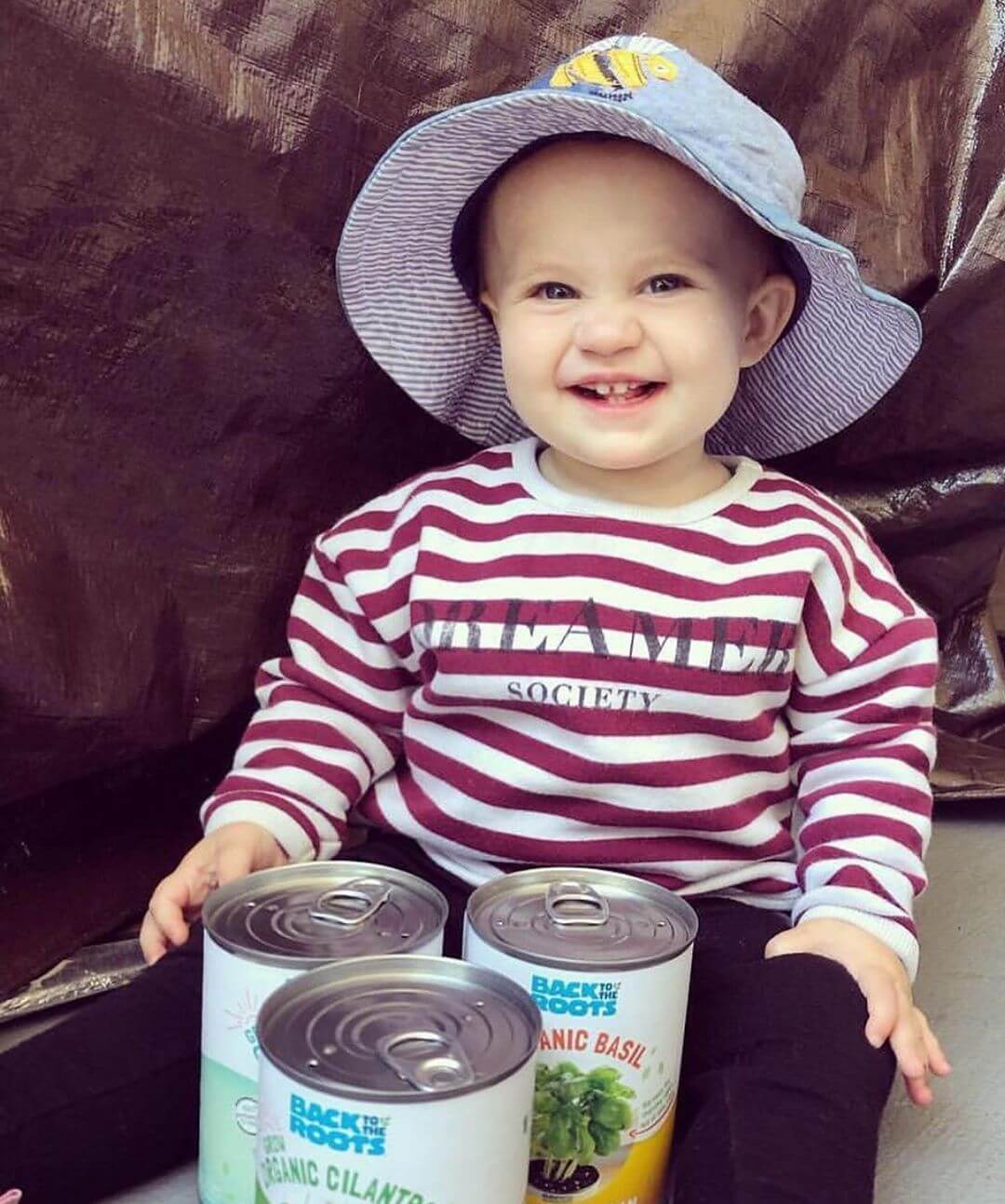 Kitchen Herb Garden - Basil, Mint, Cilantro 3-Pack 🌿 - Image 10