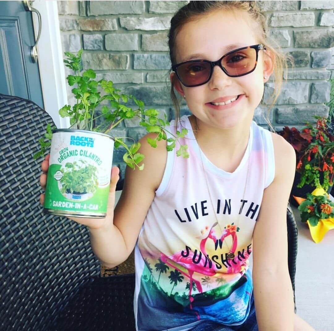 Kitchen Herb Garden - Basil, Mint, Cilantro 3-Pack 🌿 - Image 3