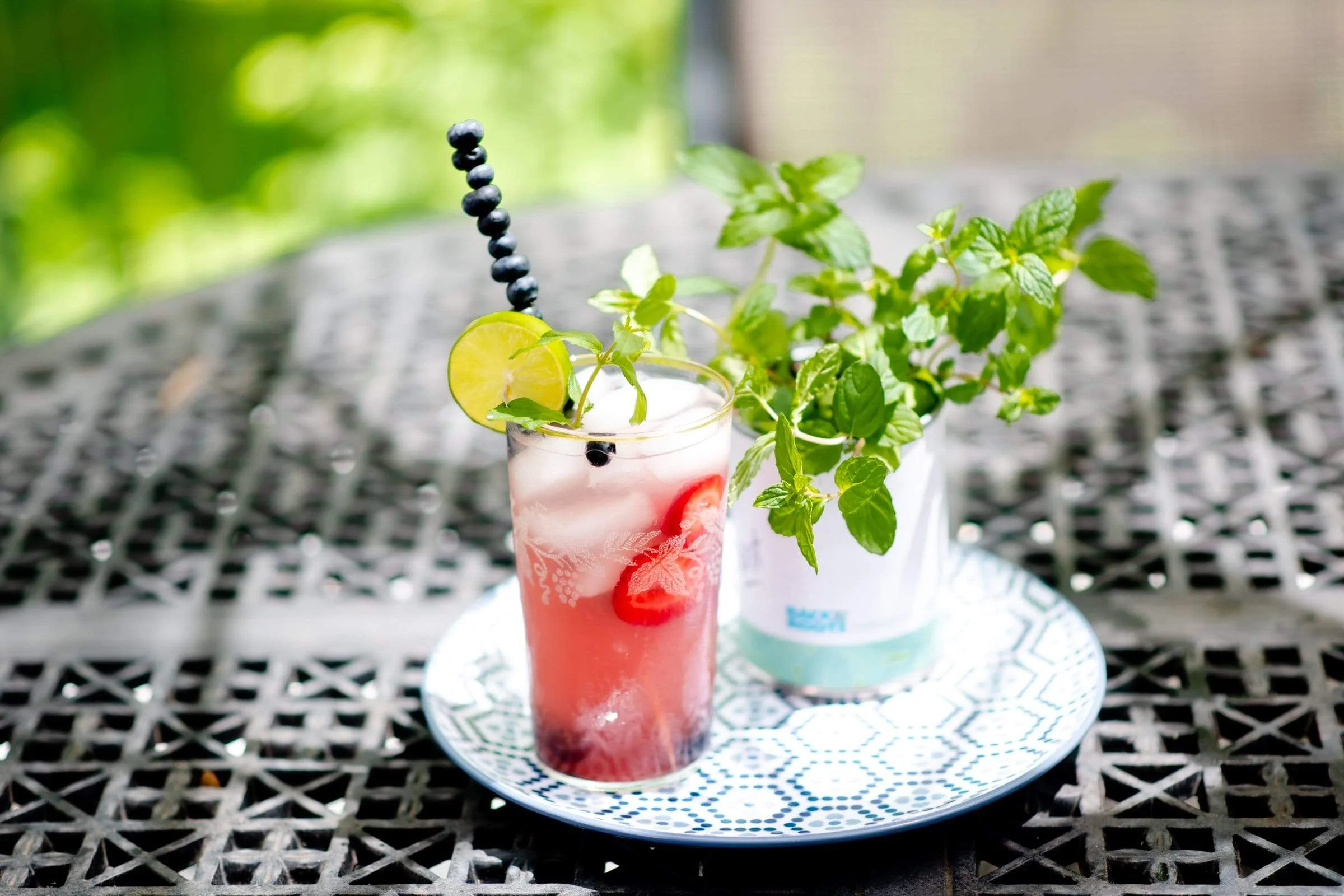 Kitchen Herb Garden - Basil, Mint, Cilantro 3-Pack 🌿 - Image 4