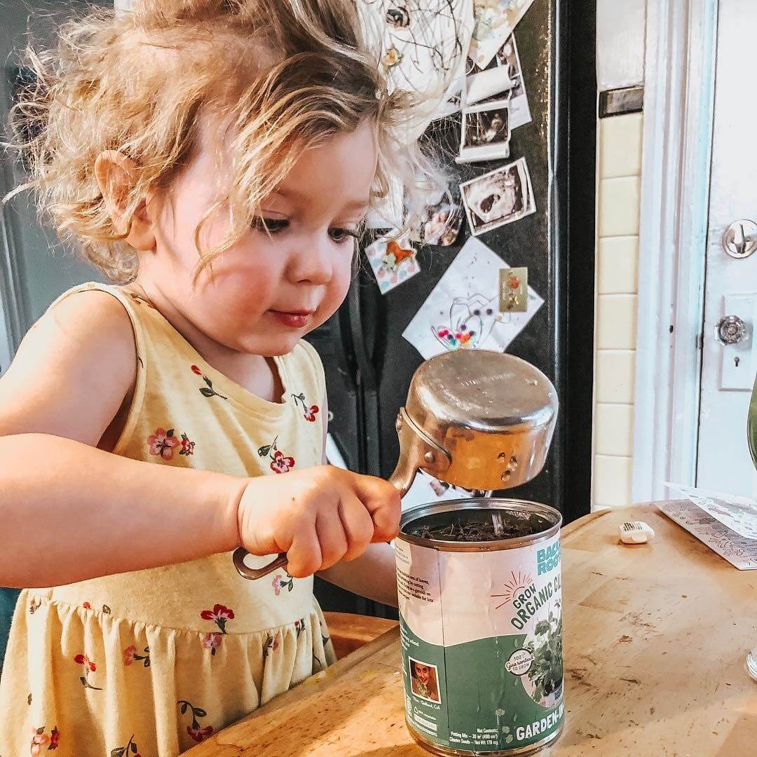 Kitchen Herb Garden - Basil, Mint, Cilantro 3-Pack 🌿 - Image 5