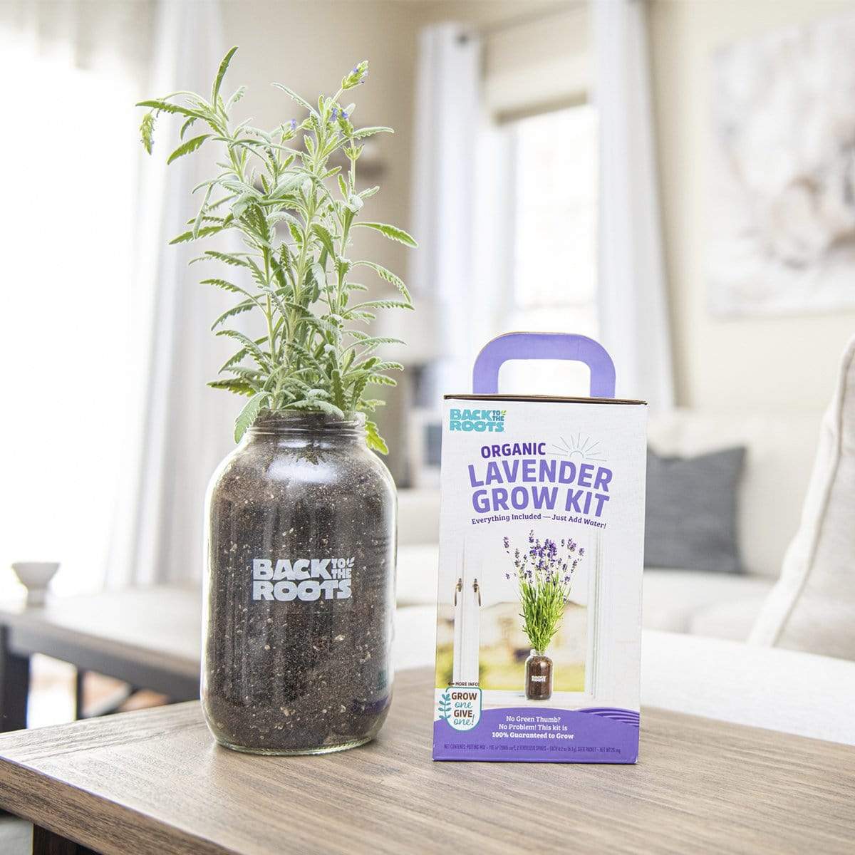 Lavender & Sunflower Grow Kit Flowers 2-Pack Bundle - Image 3