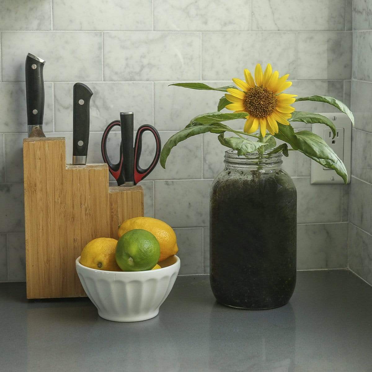 Lavender & Sunflower Grow Kit Flowers 2-Pack Bundle - Image 6