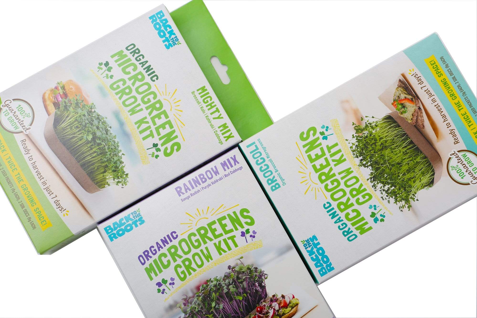 Organic Microgreens Kit, Variety 3-Pack 🌱 - Image 12