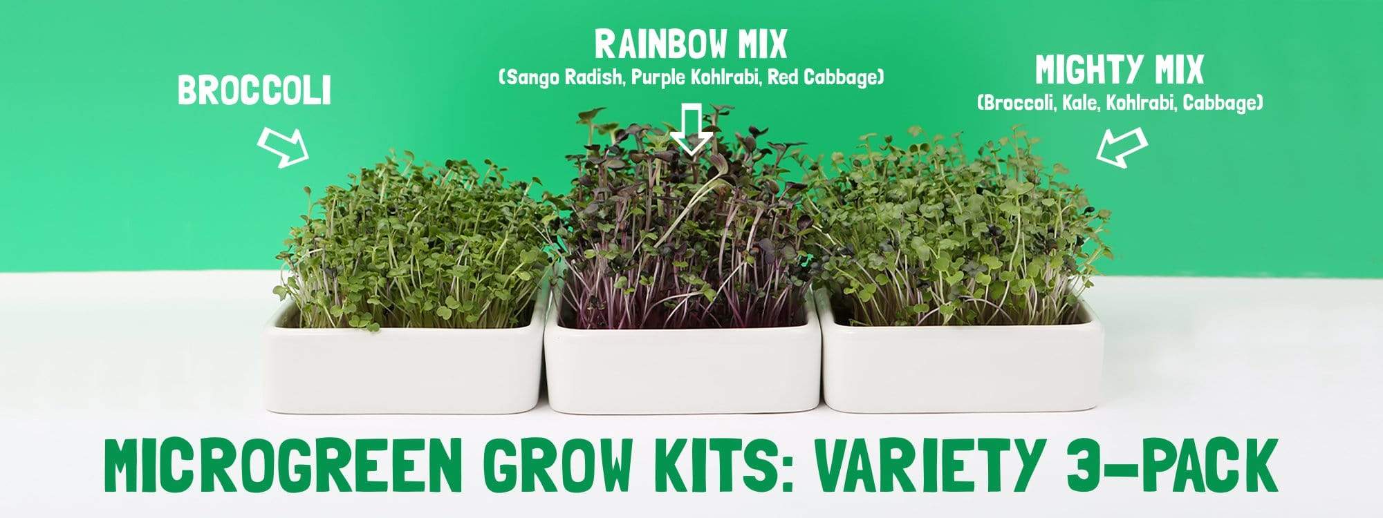 Organic Microgreens Kit, Variety 3-Pack 🌱 - Image 13
