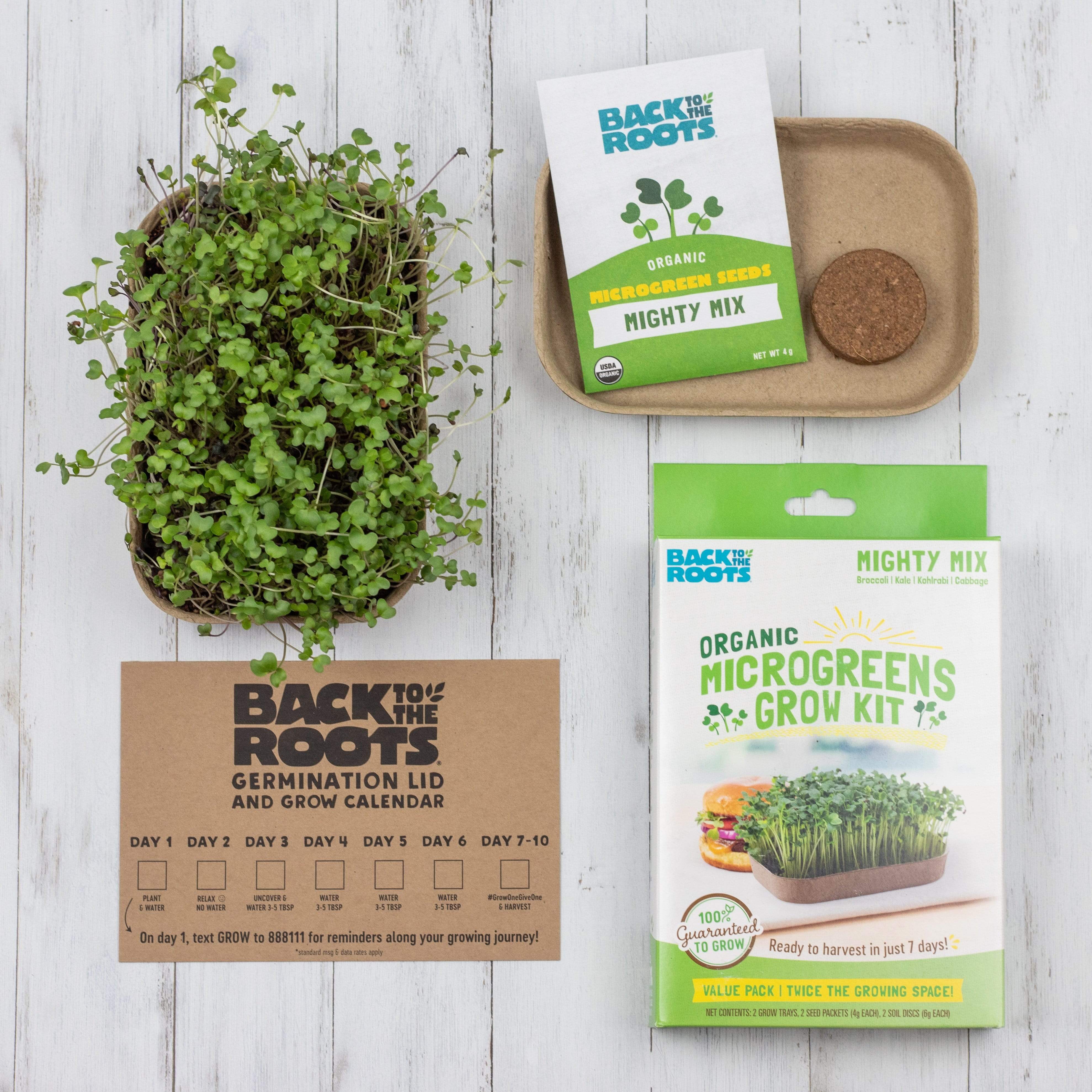 Organic Microgreens Kit, Variety 3-Pack 🌱 - Image 14