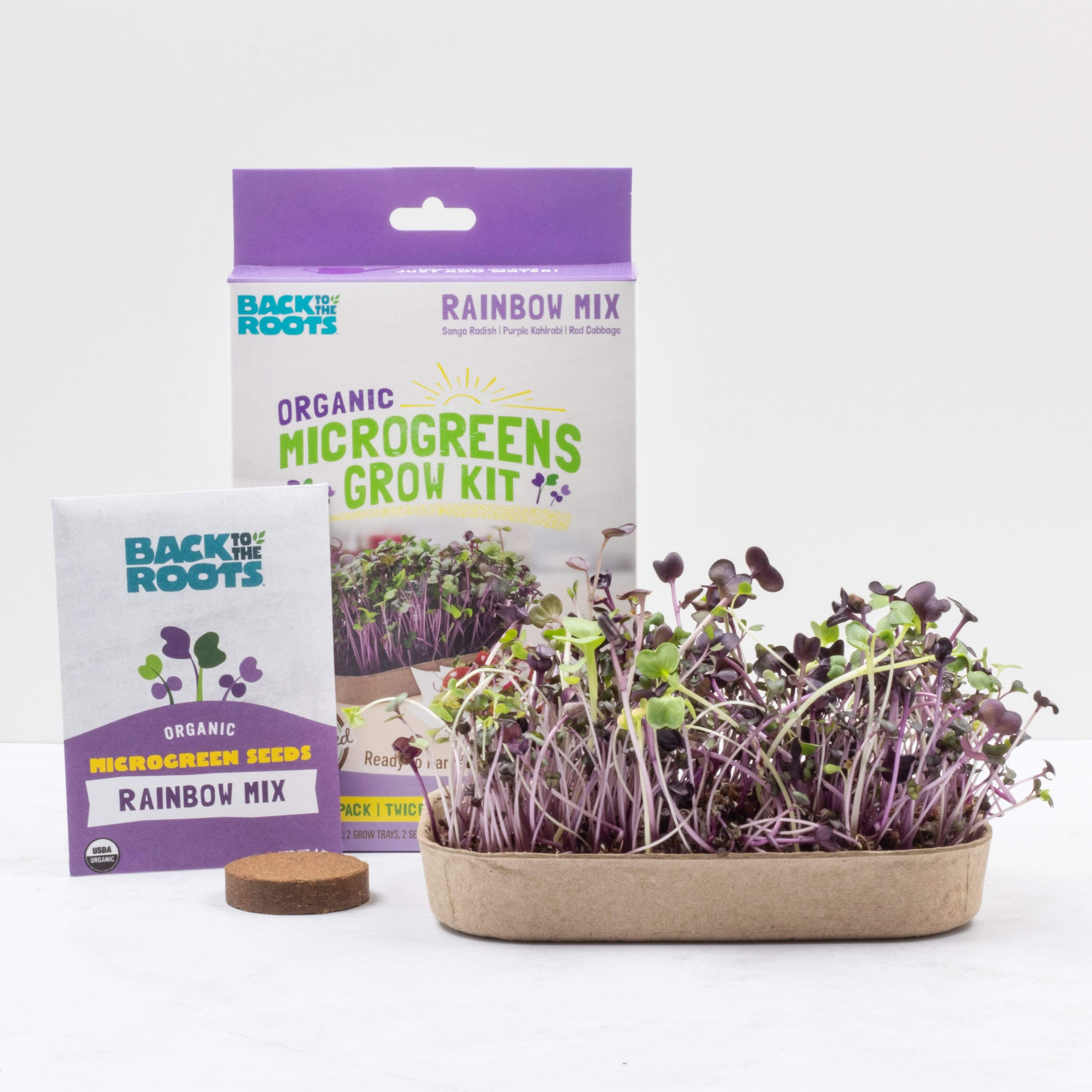 Organic Microgreens Kit, Variety 3-Pack 🌱 - Image 15