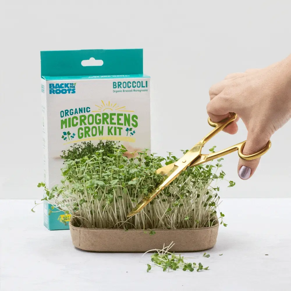 Organic Microgreens Kit, Variety 3-Pack 🌱 - Image 3