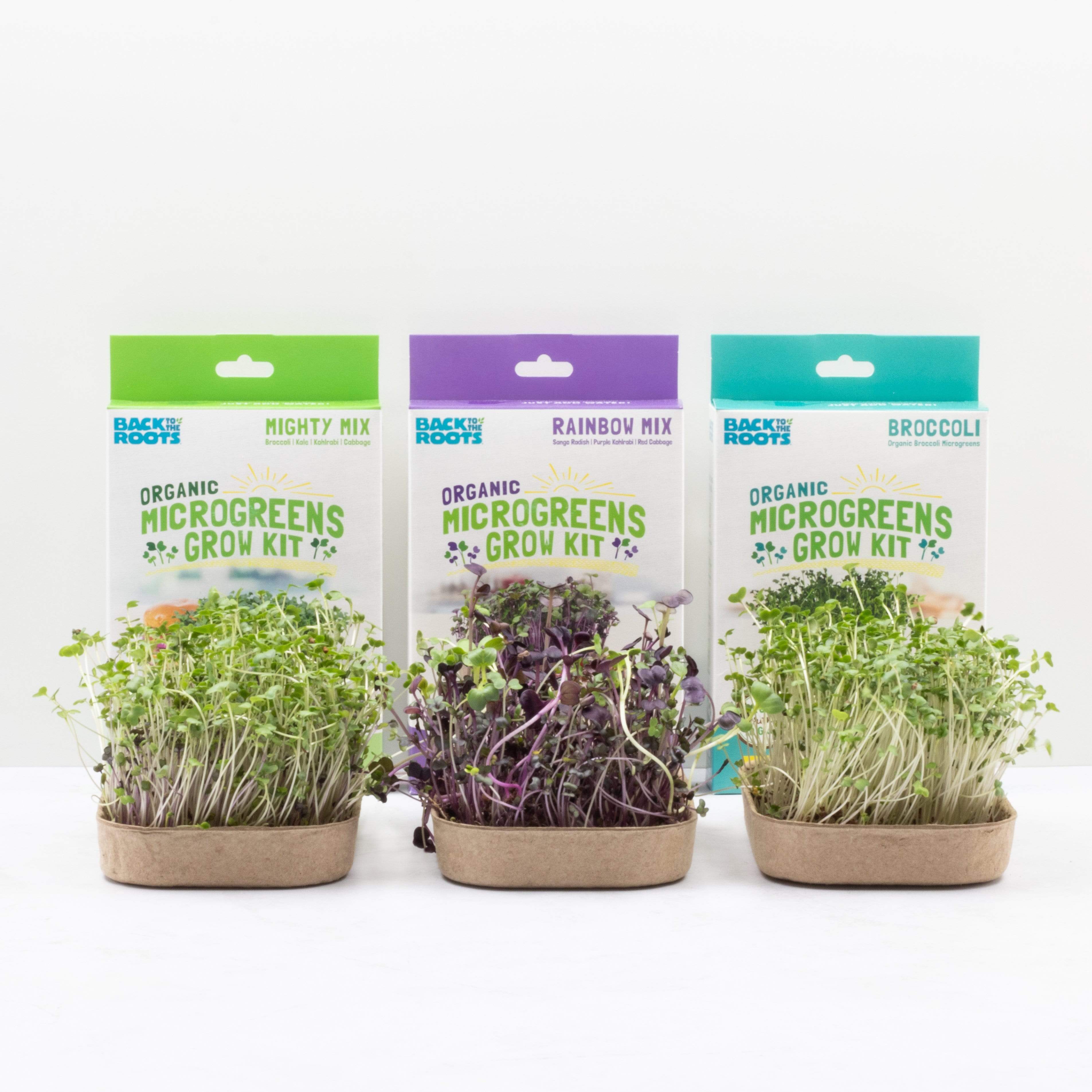 Organic Microgreens Kit, Variety 3-Pack 🌱 - Image 6