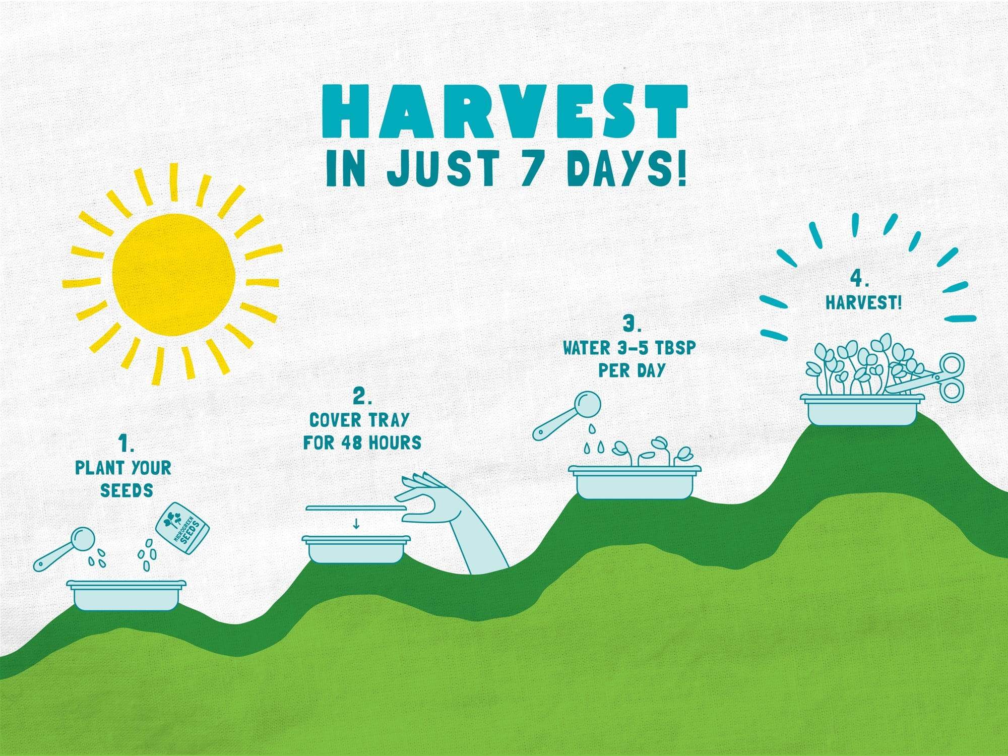 Organic Microgreens Kit, Variety 3-Pack 🌱 - Image 8