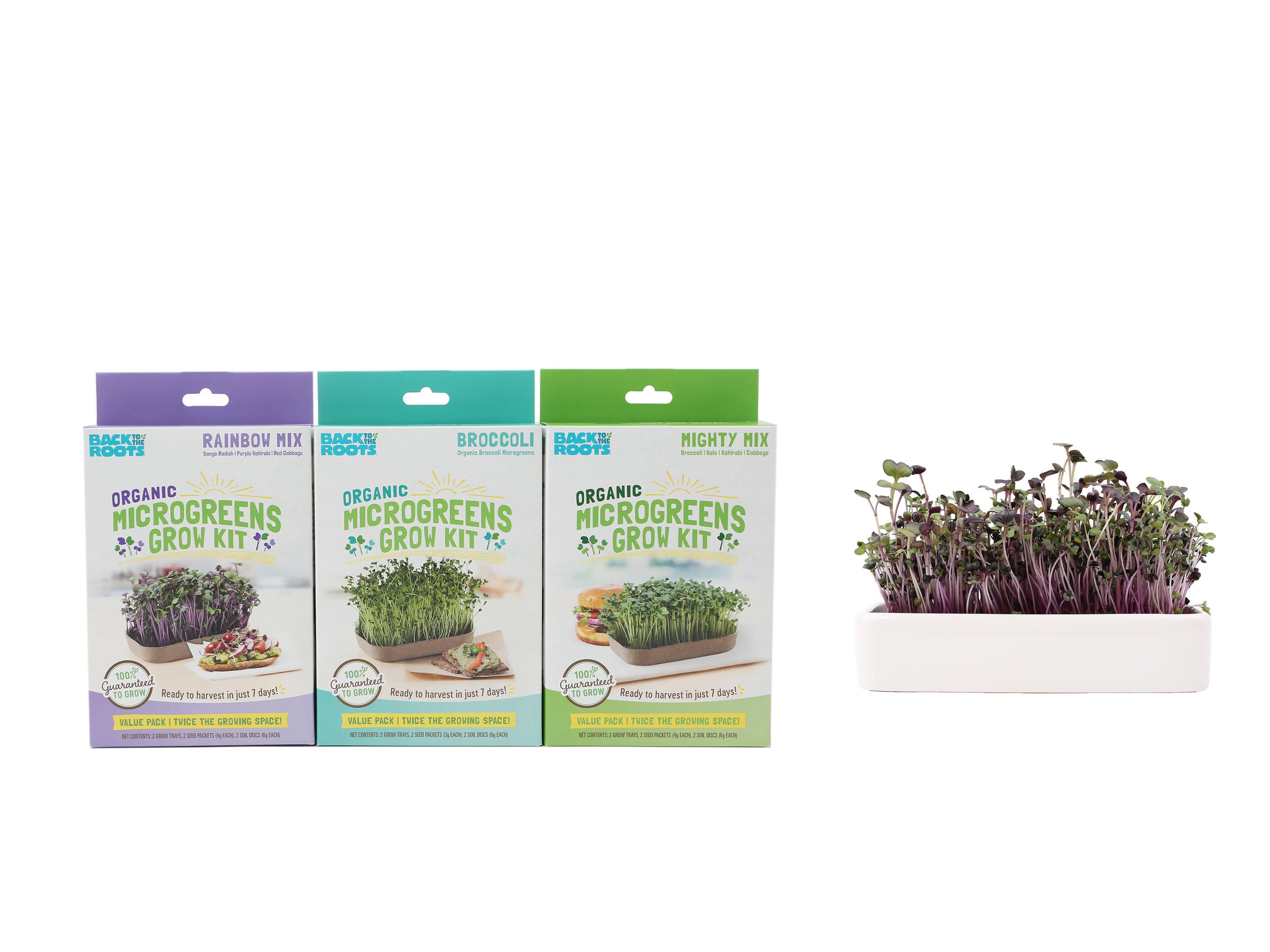 Microgreens Grow Kit (3-Pack) with Ceramic Planter - Image 3