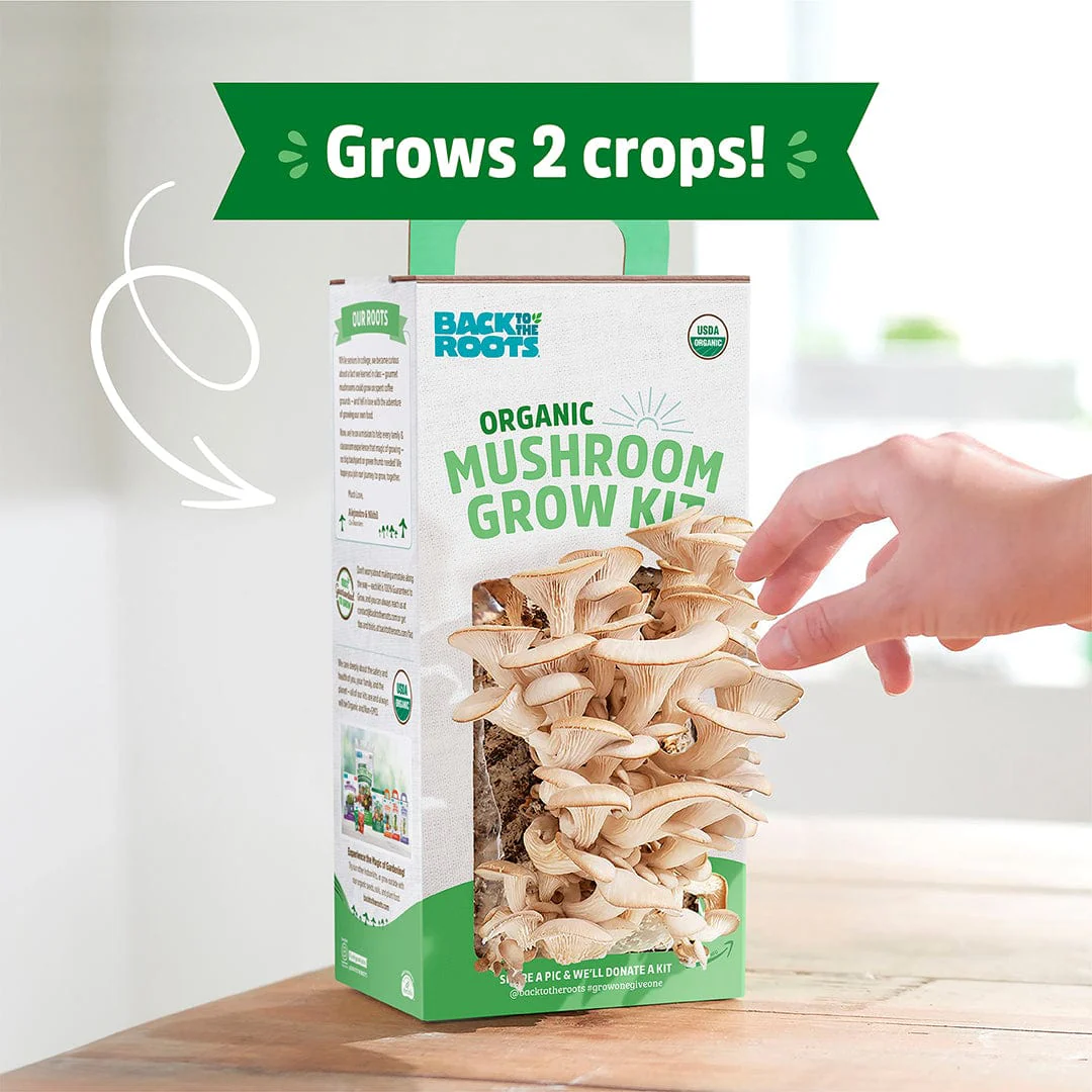 Organic Mushroom Grow Kit - Image 4