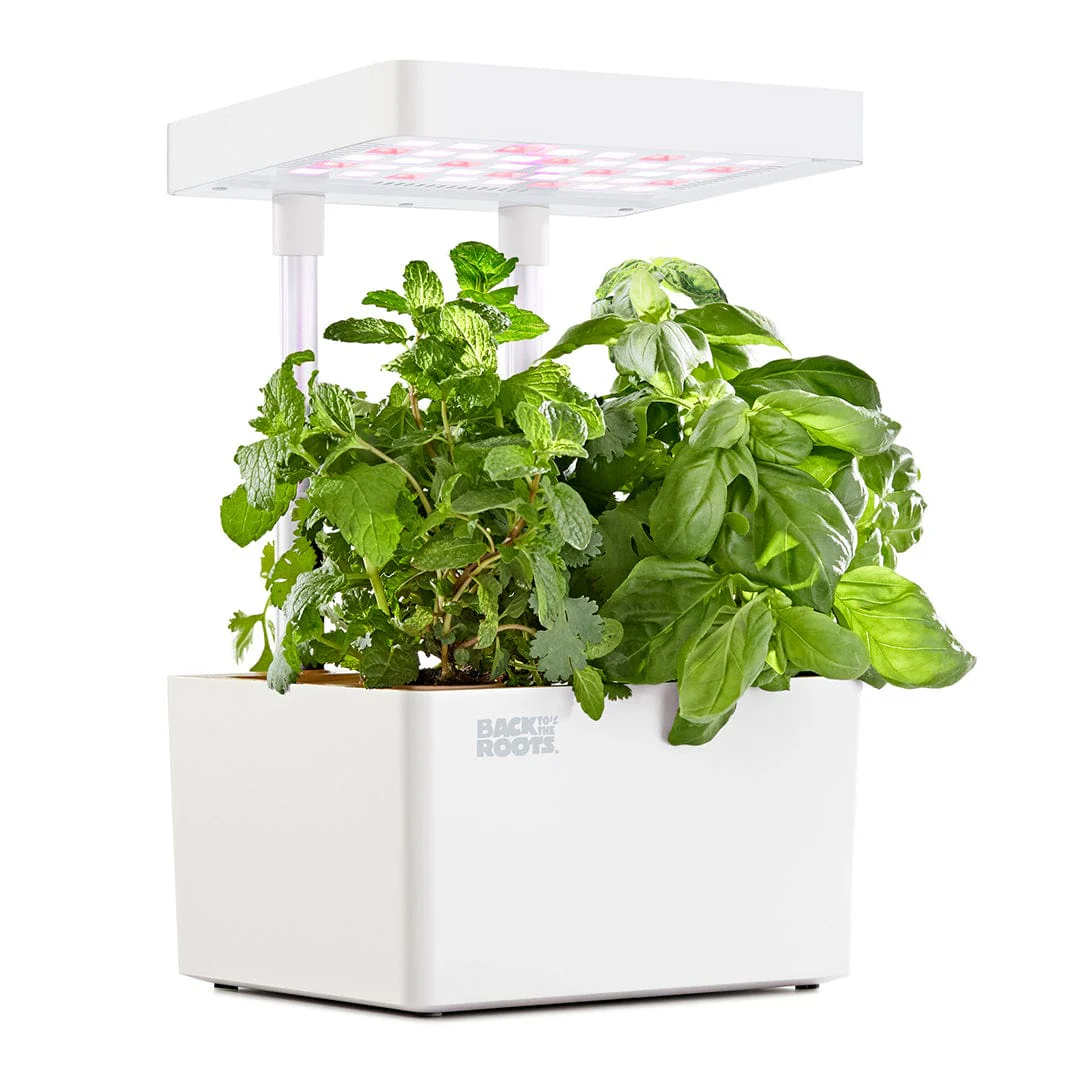 Online Exclusive: Back to the Roots LED Indoor Garden - Image 4