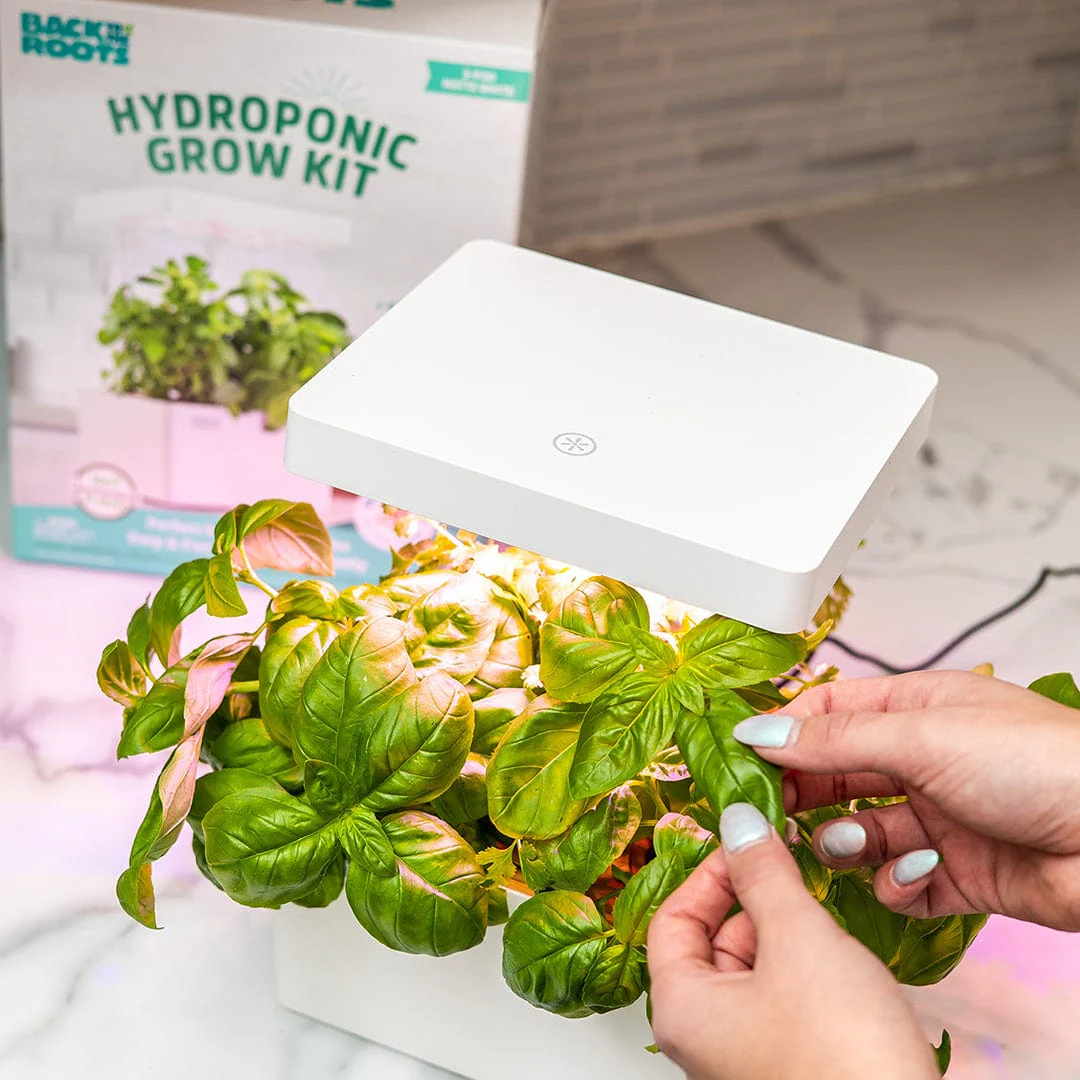 Online Exclusive: Back to the Roots LED Indoor Garden - Image 7