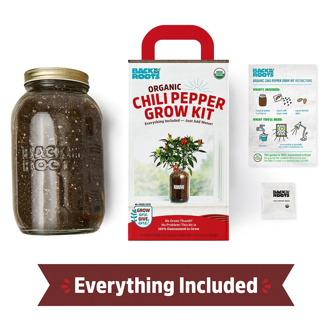 Organic Chili Pepper Windowsill Planter (Complete Mason Jar Grow Kit) 🌶️ - Image 4