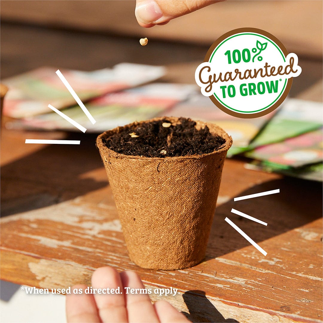 Organic Veggie Garden 5-Pack Seed Bundle - Image 5