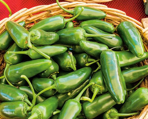 Organic Garden Essentials 15-Pack Seed Bundle – 10,000+ Seeds - Image 11