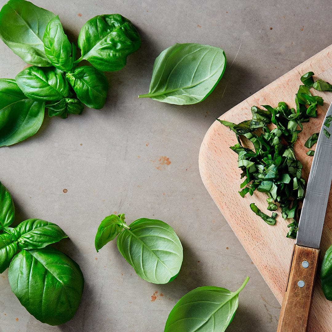 Organic Garden Essentials 15-Pack Seed Bundle – 10,000+ Seeds - Image 9