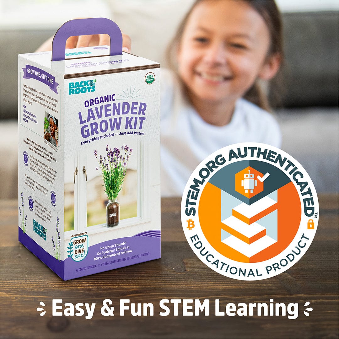 Organic Lavender Windowsill Planter 💜 - Image 9