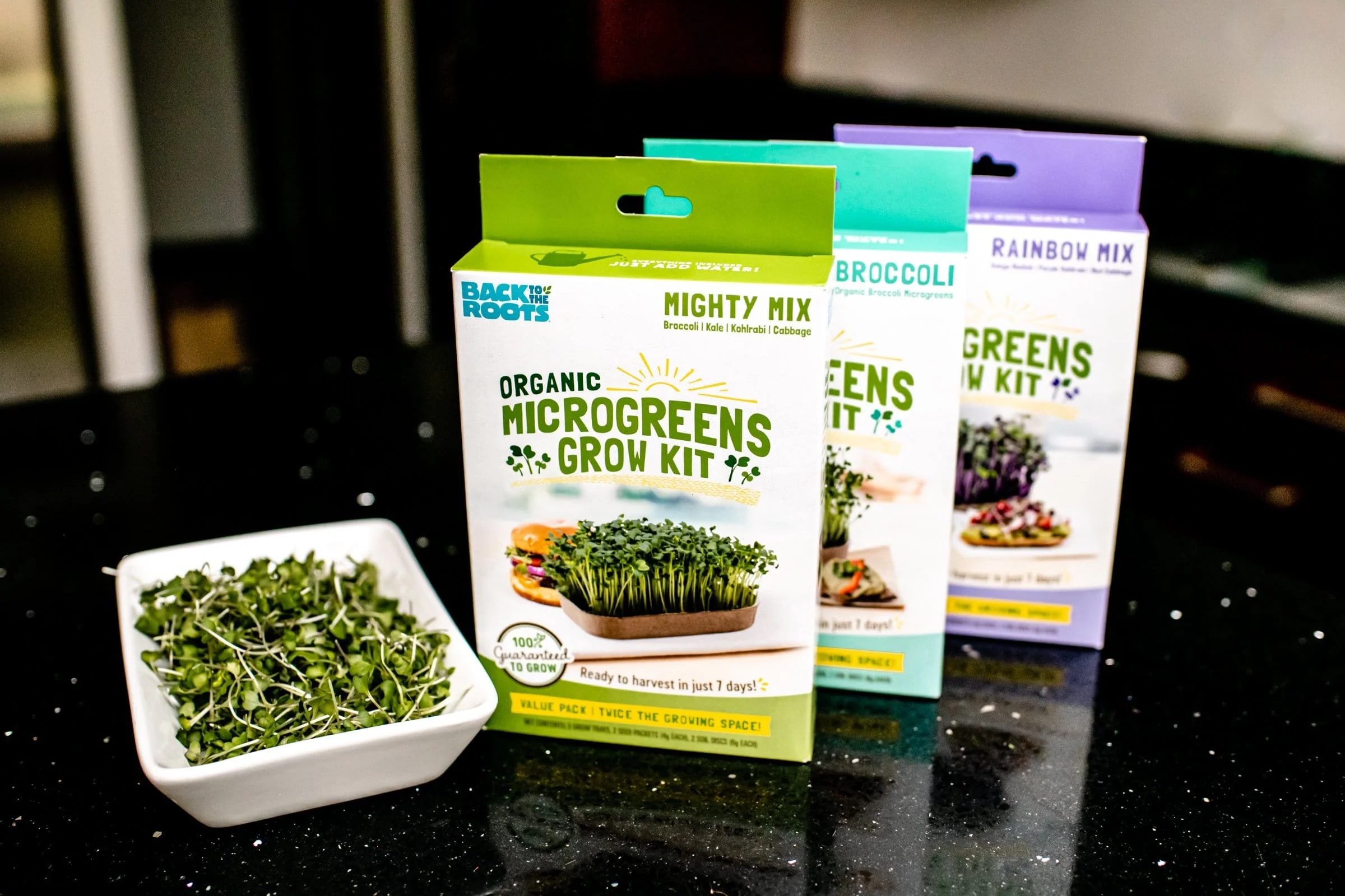 Organic Microgreens Kit, Bulk Saver 6-Pack 🌱 - Image 3