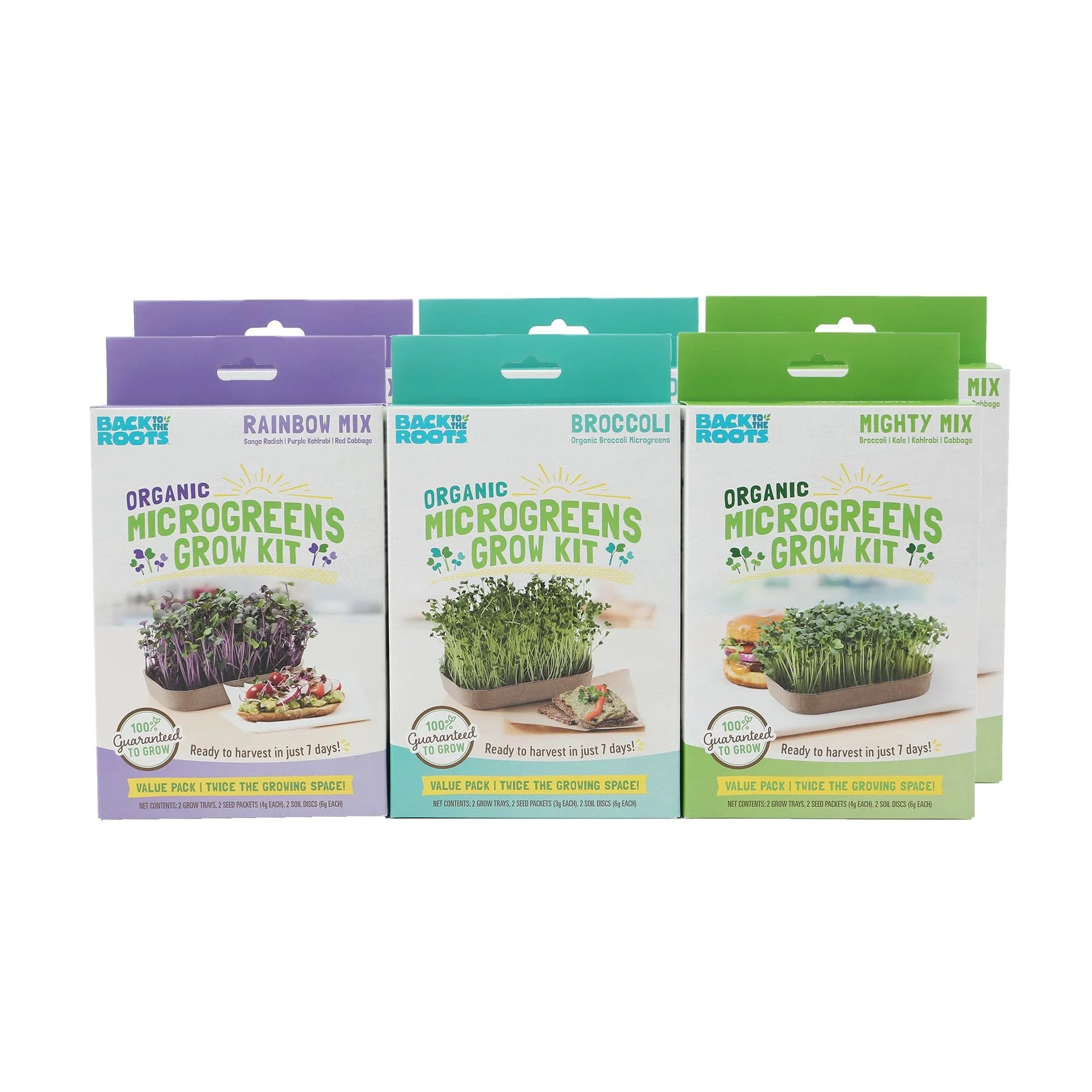 Organic Microgreens Kit, Bulk Saver 6-Pack 🌱 - Image 4