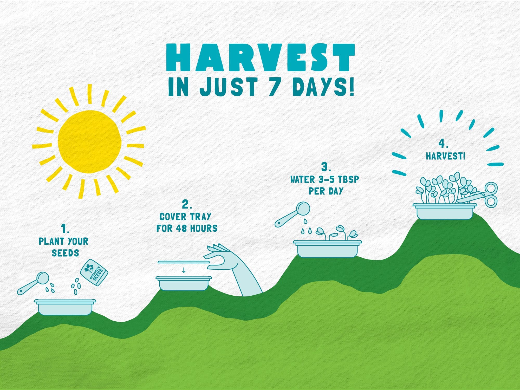 Organic Microgreens Kit, Bulk Saver 6-Pack 🌱 - Image 8