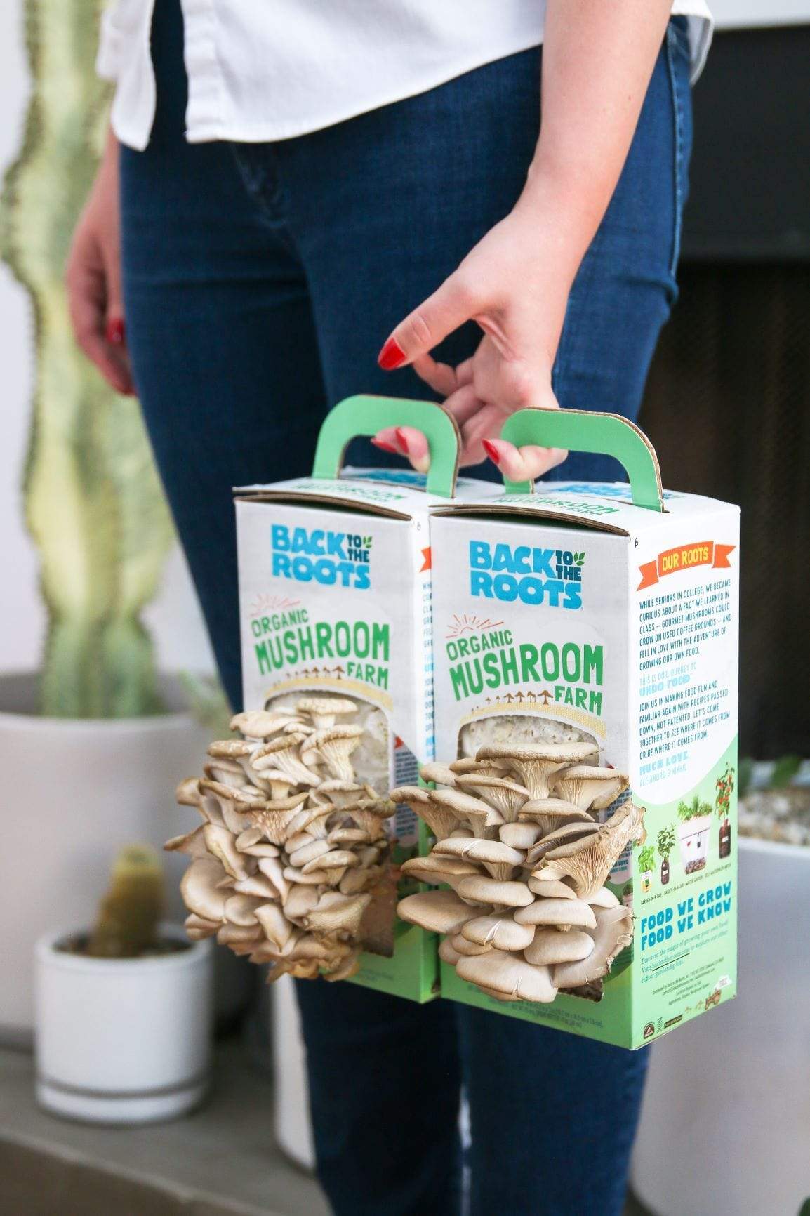 Organic Mushroom Grow Kit, 2-Pack - Image 3