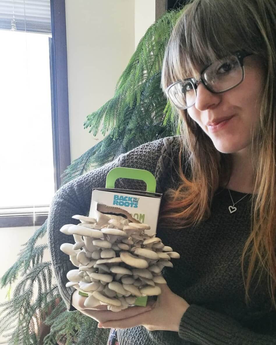 Organic Mushroom Grow Kit, 2-Pack - Image 6