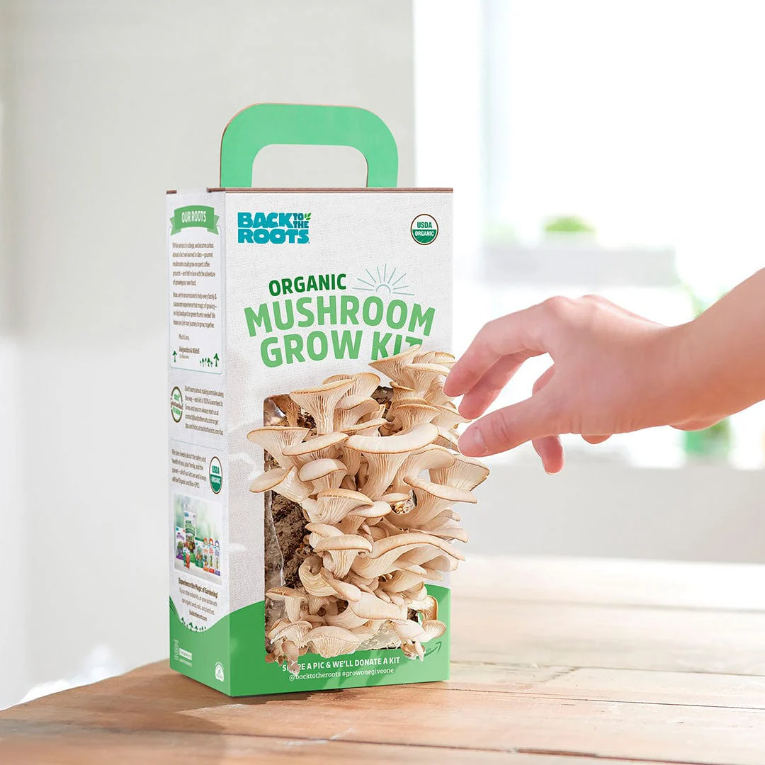 Organic Mushroom Grow Kit Gifting Bundle 	🎁, Value 3-Pack - Image 4