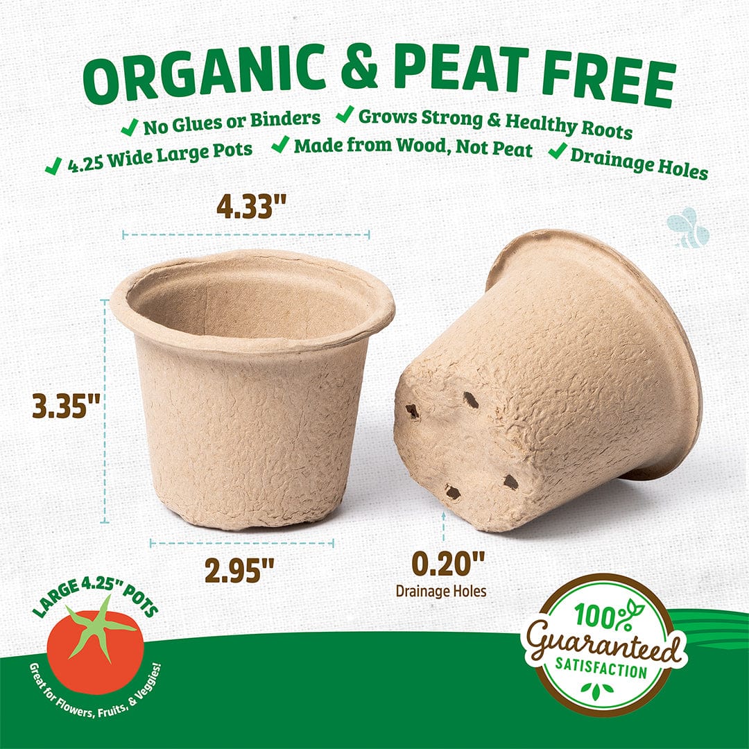 Organic & Plantable 4.25" Seed Starting Pots (8 ct) - Image 4