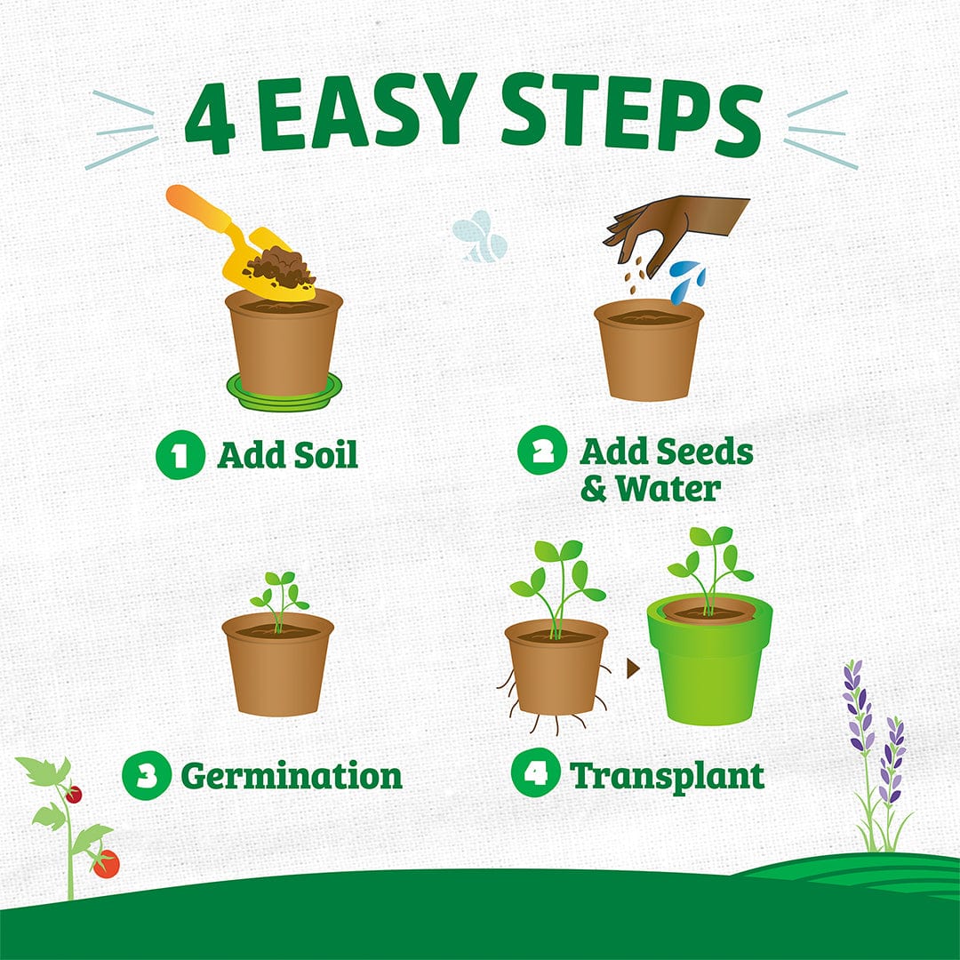 Organic & Plantable 4.25" Seed Starting Pots (8 ct) - Image 5