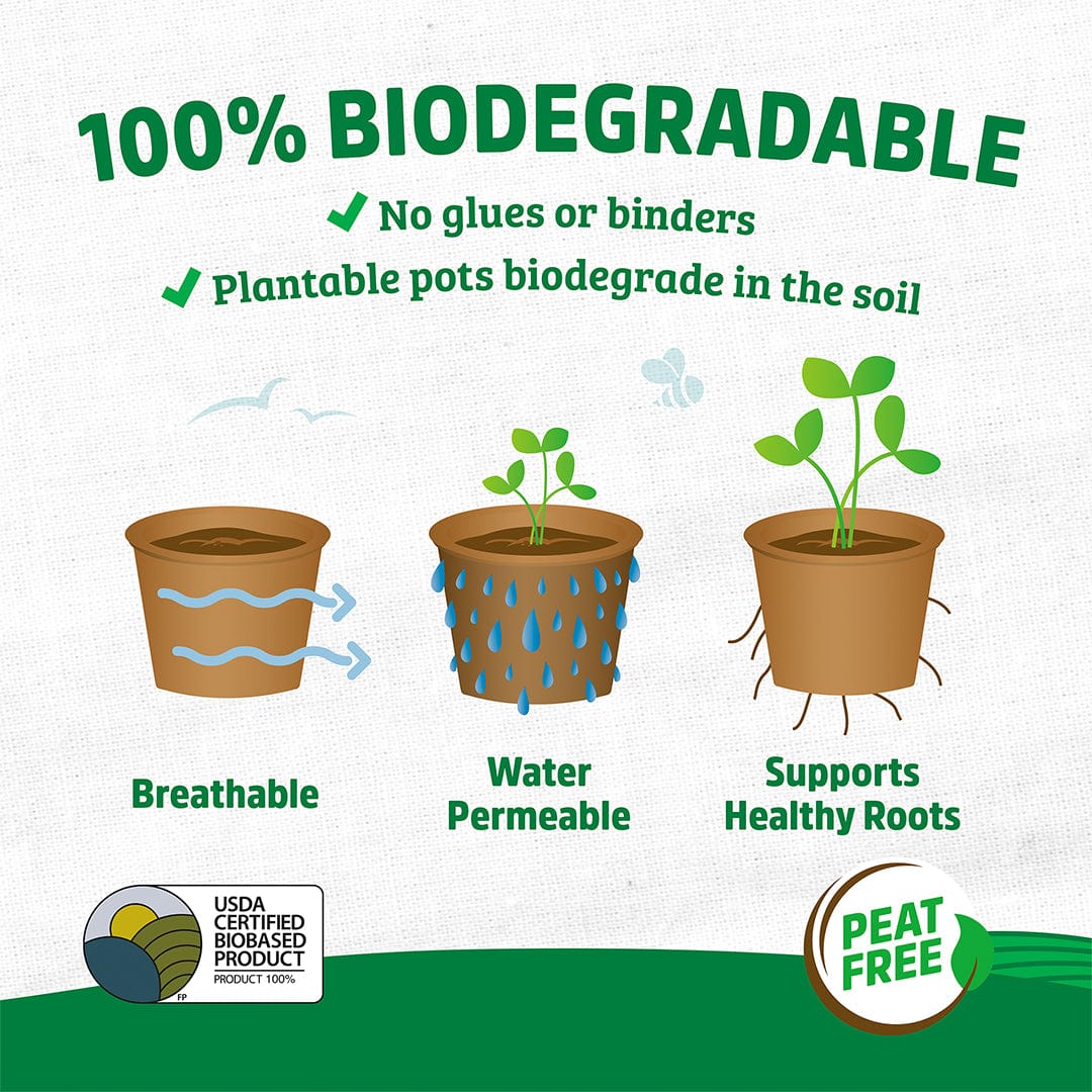 Organic & Plantable 4.25" Seed Starting Pots (8 ct) - Image 6