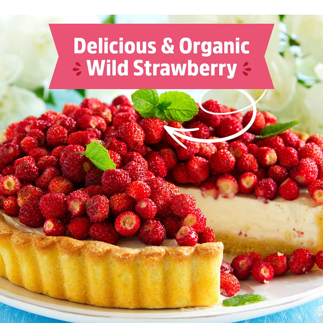 Organic Strawberry Windowsill Grow Kit 🍓 - Image 7