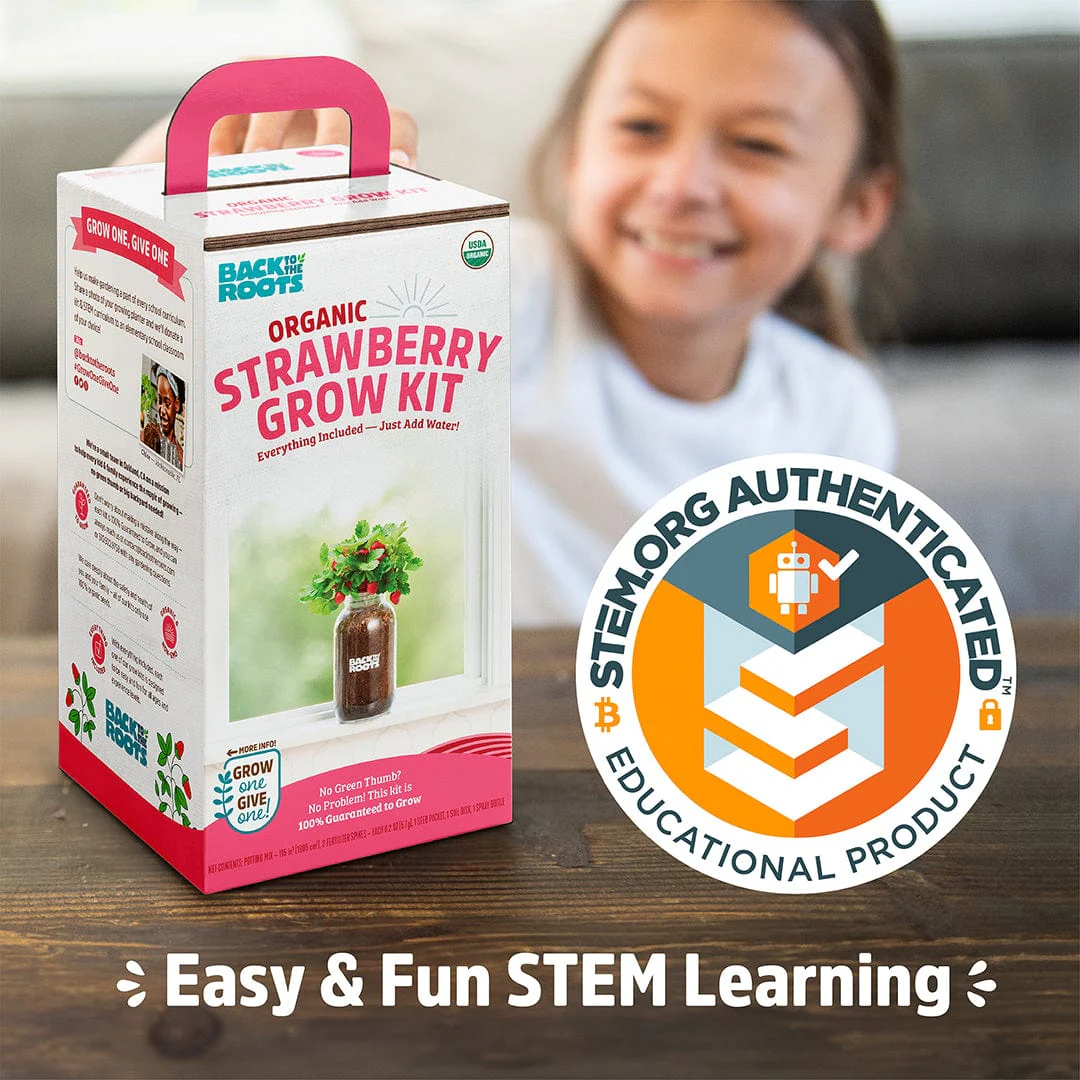 Organic Strawberry Windowsill Grow Kit 🍓 - Image 9