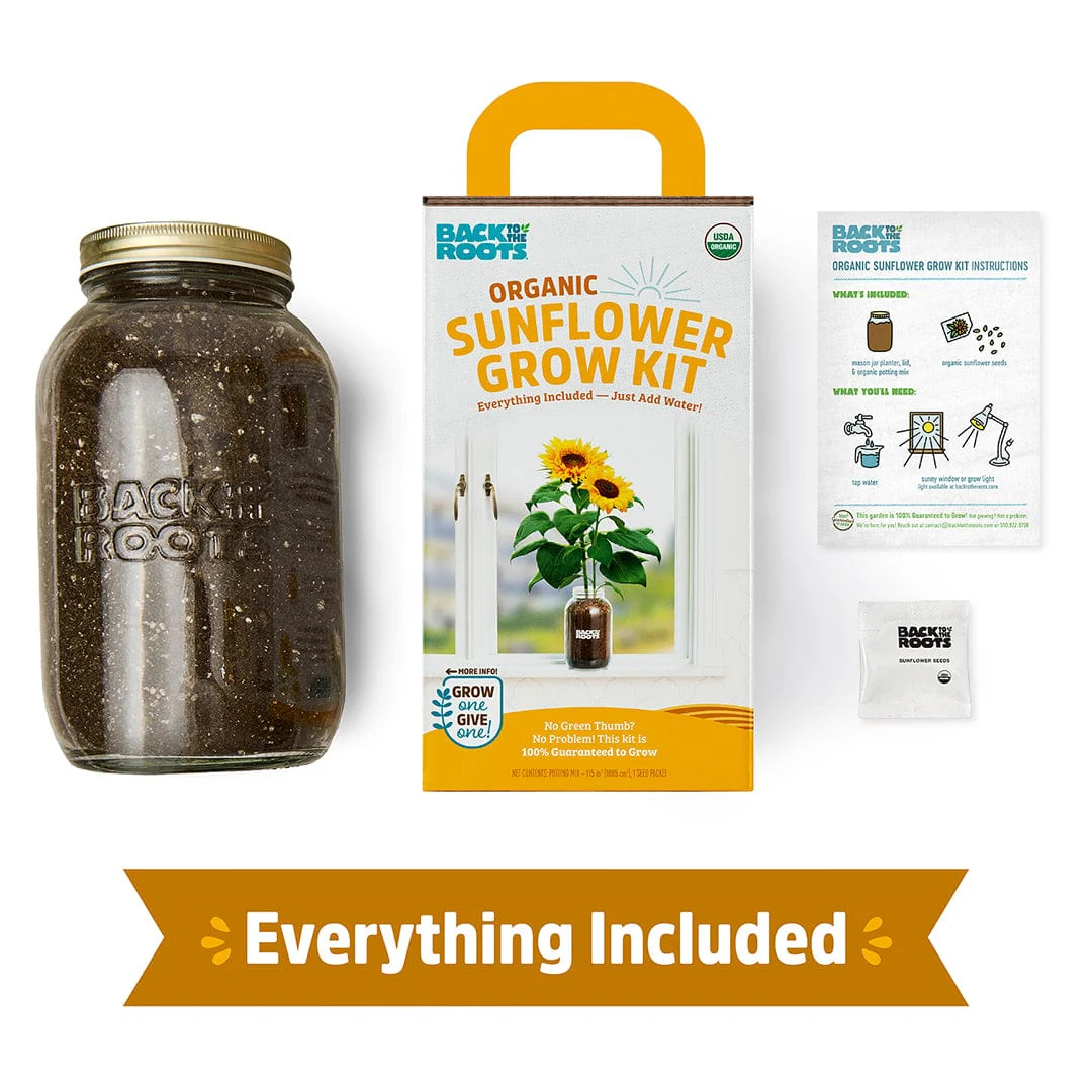 Organic Sunflower Windowsill Grow Kit 🌻 - Image 4
