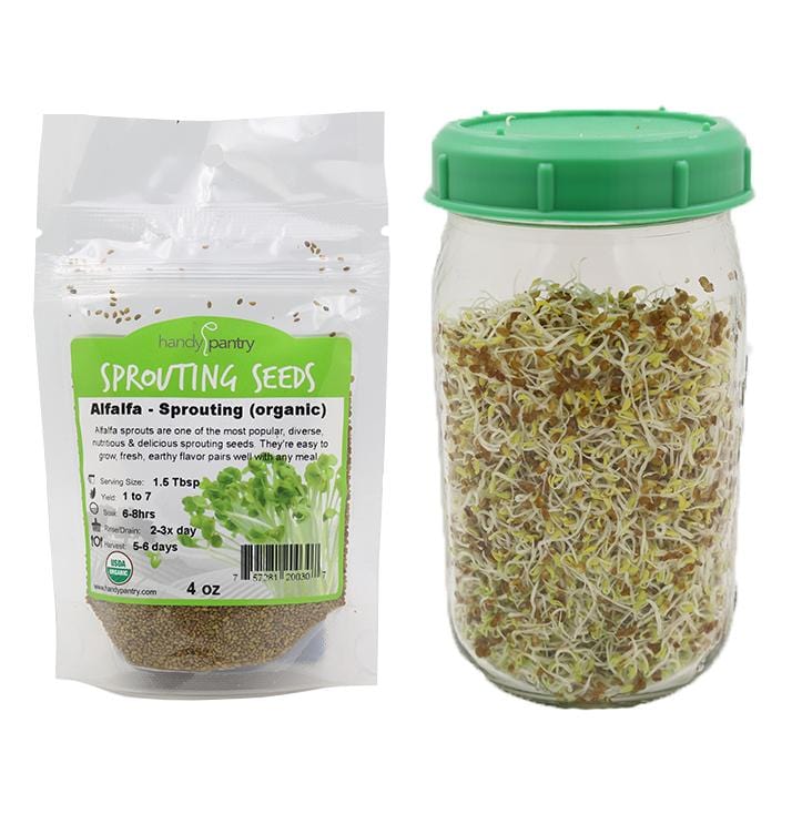 1 Month Refill Seeds for Complete Sprouting Kit (5 Part Salad Mix) - Image 3