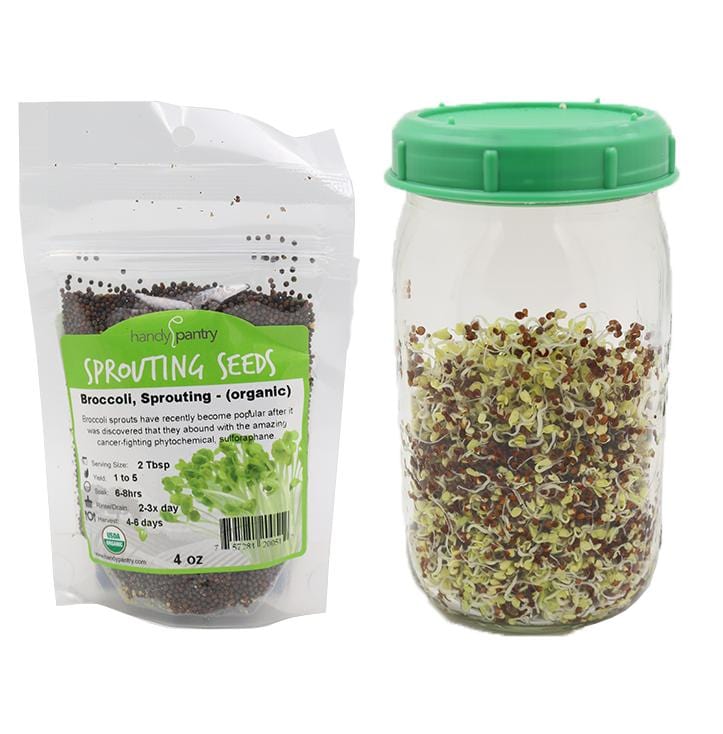 1 Month Refill Seeds for Complete Sprouting Kit (5 Part Salad Mix) - Image 4