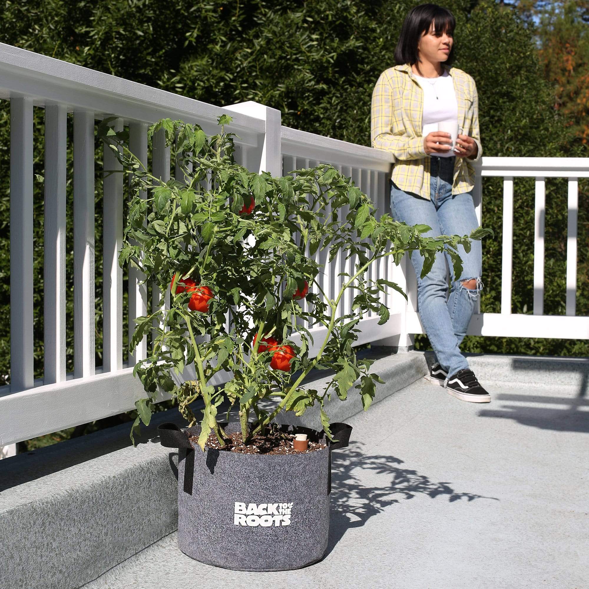 Self-Watering Fabric Garden Pot - Image 3