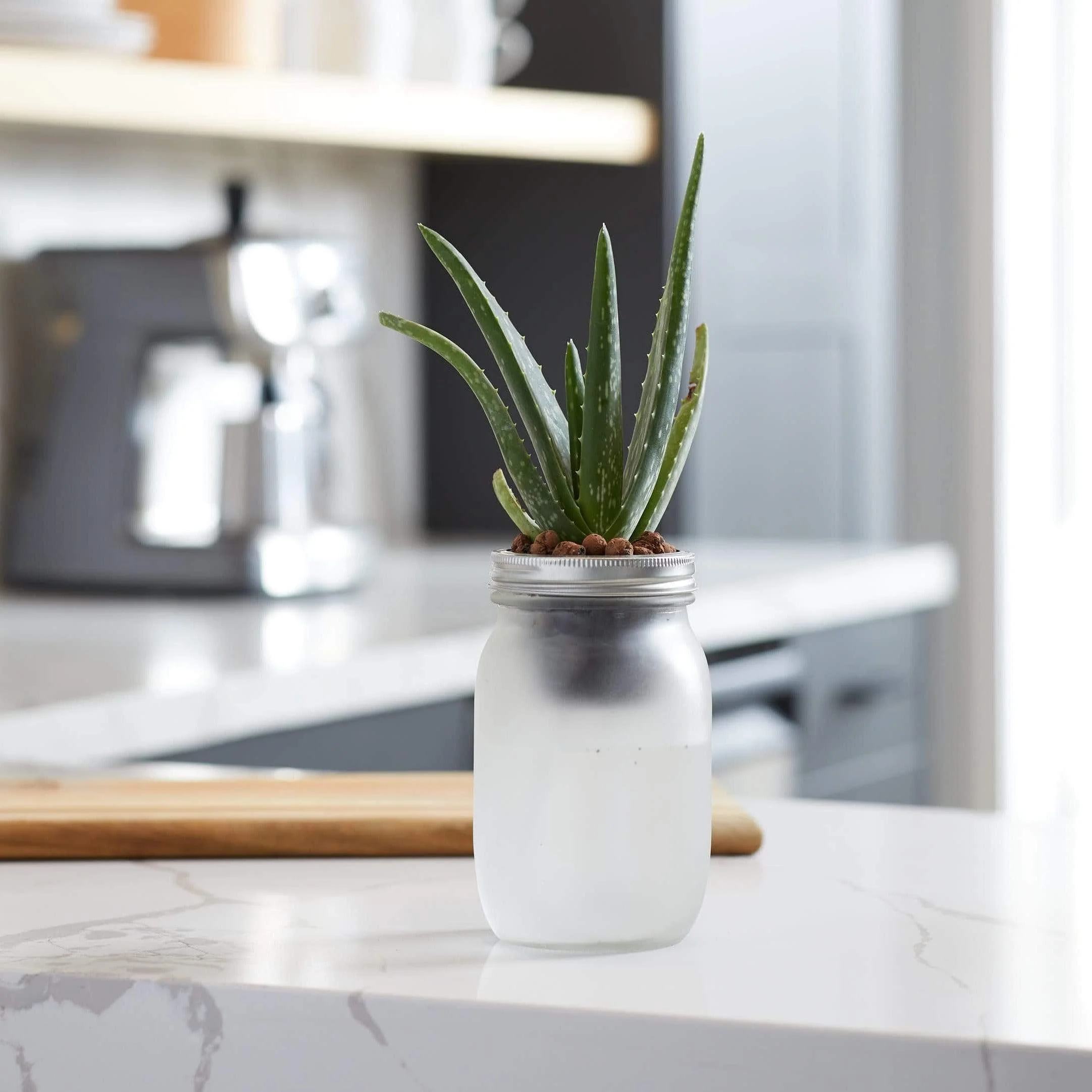 SELF-WATERING GROW KIT - SUCCULENTS & CACTI - Image 3