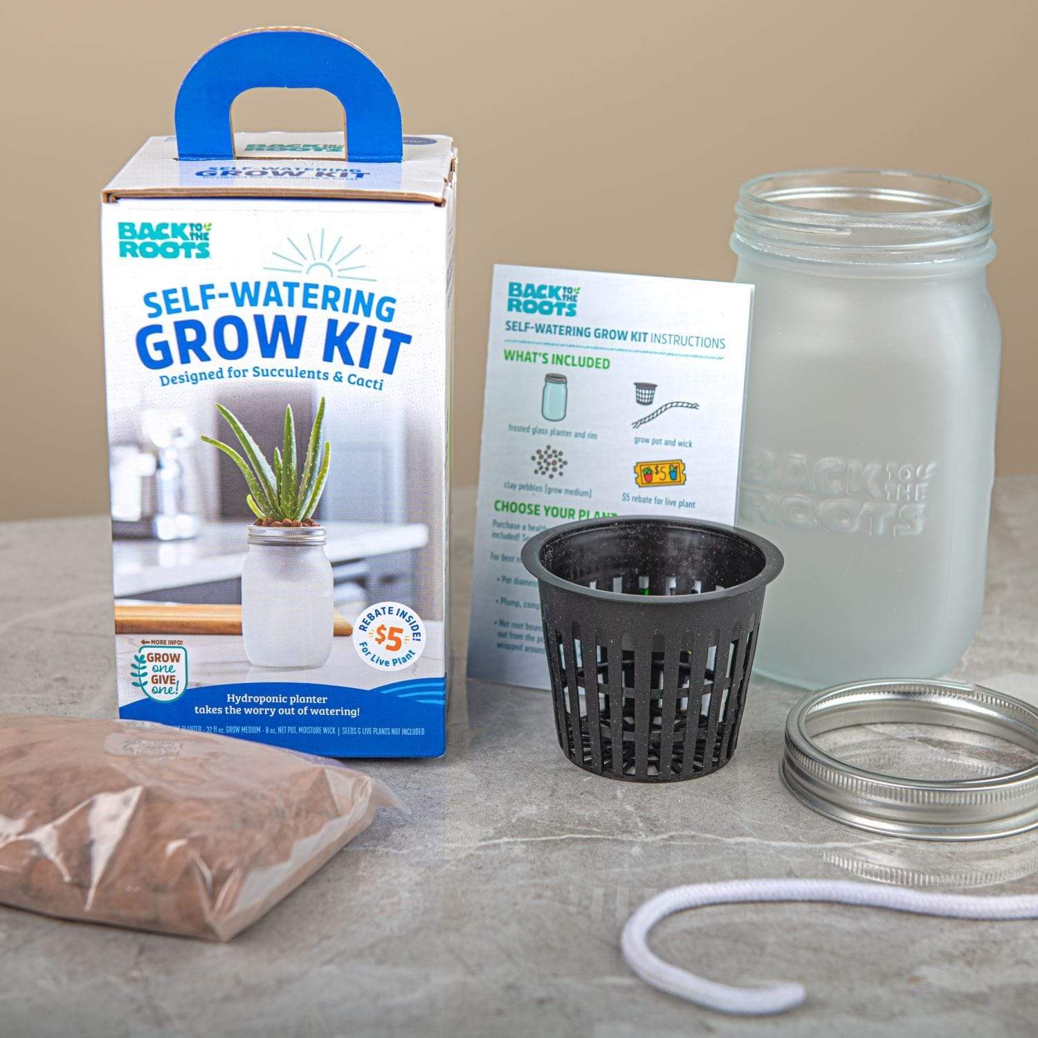 SELF-WATERING GROW KIT - SUCCULENTS & CACTI - Image 4
