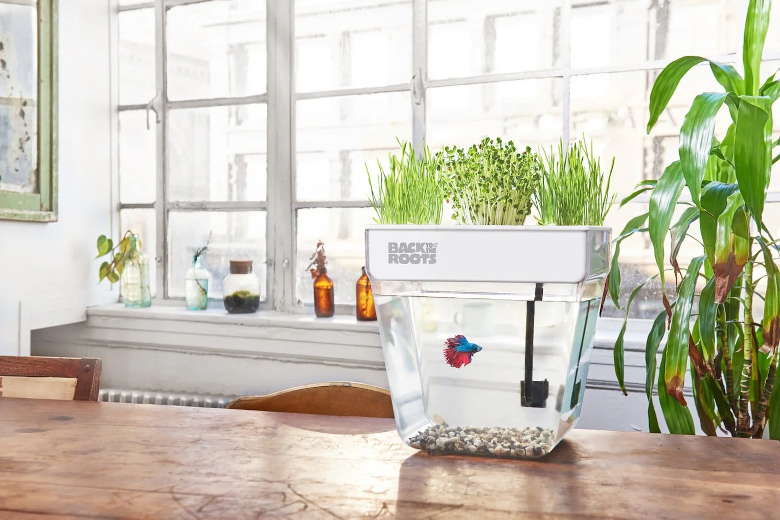 The Urban Homesteader Gift Set – Full Indoor Garden + Aquaponics Kit - Image 5