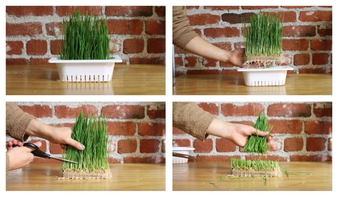 Compostable Refill Kits - Image 3